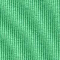12228#New pure cotton 2x2 ribbed 210G